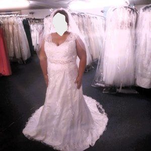 Beautiful Wedding Dress. Never worn only,tried on.
